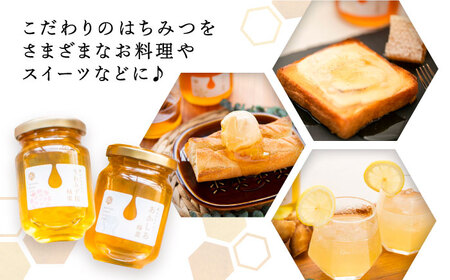 東美濃厳選「季節のはちみつ味わいセット」 / はちみつ ハチミツ 蜂蜜 / 恵那市 / 堀養蜂園 [AUCO001]