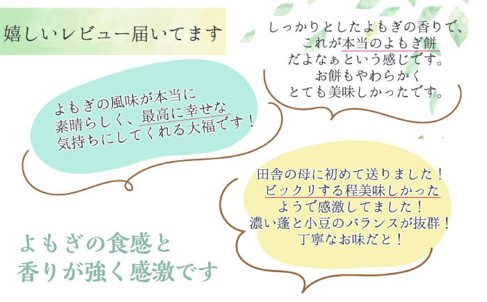 【年内配送】天然よもぎを使用した よもぎ大福10個 / よもぎ ヨモギ 大福 だいふく まんじゅう 和菓子 よもぎ餅 ヨモギ餅 もち / 恵那市 / 良平堂 [AUDB037]