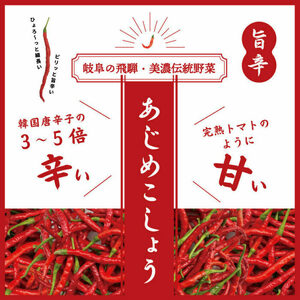 LGASIA オリジナルスパイスAJIME 15g×2本 50g×2本 100g×2本 / アウトドア キャンプ スパイス 調味料 / 恵那市 / ＭＡＣ [AUDM032]