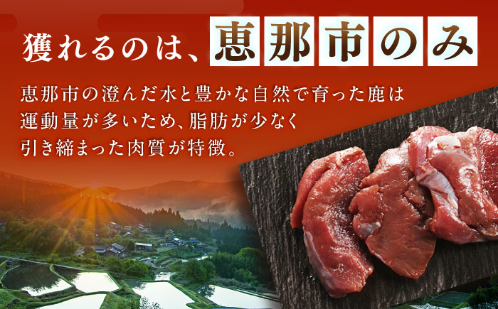 鹿肉カレー 250ｇ×6袋 / 鹿肉 鹿 ジビエ カレー レトルト / 恵那市 / 弘法屋 [AUEA002]