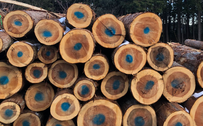 【年内配送】低温バイオ乾燥「郷山薪」24kg / 薪 焚き火 ストーブ アウトドア / 恵那市 / 柘植建設 [AUFB001]