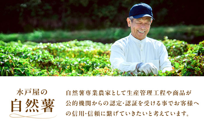 【年内配送】自然薯のしょう油漬け 240g（80g×3）/ 自然薯 しょう油漬け 醤油漬け 漬け物 漬物 グルテンフリー / 恵那市 / 水戸屋 [AUFZ012]