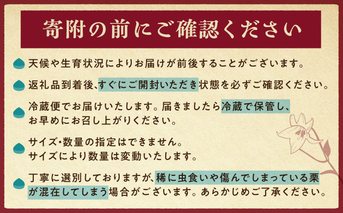＼間もなく受付終了！／岐阜県産栗「東美濃ぽろたん」 2kg / 栗 くり 栗きんとん / 東美濃農業協同組合 [AUDS001]