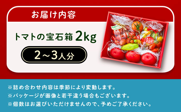 ＼受付終了間近！／トマトの宝石箱 2kg / トマト とまと 大玉トマト ミニトマト 詰め合わせ / 恵那市 / クリエイティブファーマーズ [AUAH014]
