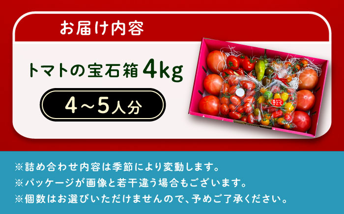 ＼受付終了間近！／トマトの宝石箱 4kg / トマト とまと 大玉トマト ミニトマト 詰め合わせ / 恵那市 / クリエイティブファーマーズ [AUAH015]