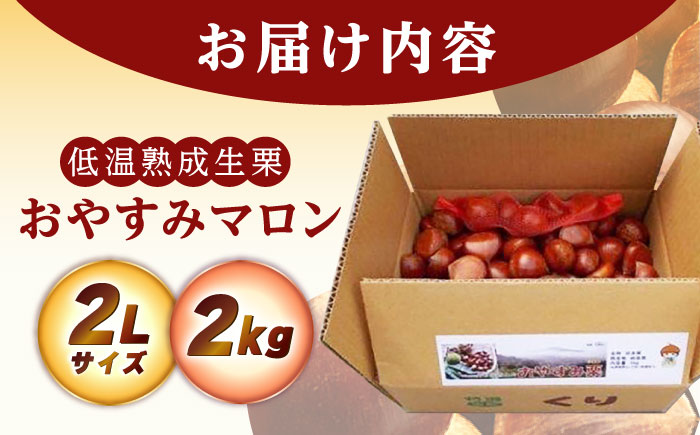 【2025年9月下旬から10月上旬に順次発送】おやすみ栗（マロン）2kg（2Lサイズ）/ 栗 生栗 くり マロン 低温熟成 日本栗 国産 / 恵那市 / えな笠置山栗園 [AUAV001] 2kg
