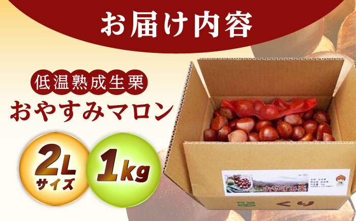 【2025年9月下旬から10月上旬に順次発送】おやすみ栗（マロン）1kg（2Lサイズ）/ 栗 生栗 くり マロン 低温熟成 日本栗 国産 / 恵那市 / えな笠置山栗園 [AUAV004] 1kg