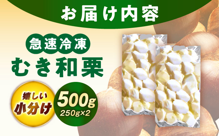 冷凍むき栗「日本栗」 計500g（250g×2P）/ 栗 くり 日本栗 むき栗 岐阜 恵那 / 恵那市 / えな笠置山栗園 [AUAV005] 500g