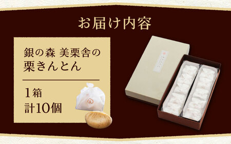 美栗舎の栗きんとん 10個入り / 栗 くり 栗きんとん くりきんとん 季節 秋 限定 栗 岐阜 セット 手土産 和菓子 スイーツ お菓子 / 恵那市 / 銀の森 [AUBG027] 10個入