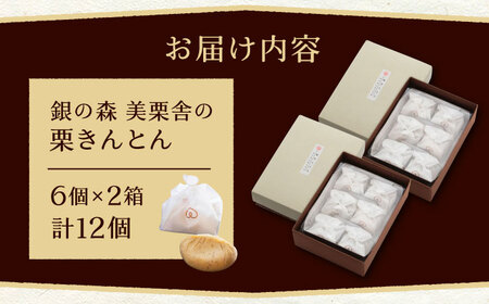 美栗舎の栗きんとん 計12個（6個×2箱）/ 栗 くり 栗きんとん くりきんとん 季節 秋 限定 栗 岐阜 セット 手土産 和菓子 スイーツ お菓子 / 恵那市 / 銀の森 [AUBG028] 12個入