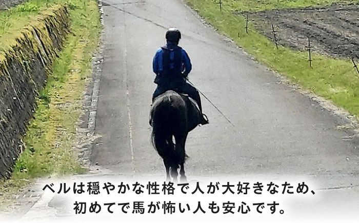 乗馬体験券（ふれあい、30分程度の乗馬）1名分 チケット 馬 岐阜 恵那市 / ベルの家 [AUCN001]