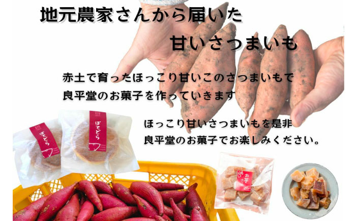 【年内配送】恵那の和ぽてと10個 / スイートポテト いも さつまいも サツマイモ シナモン 焼菓子 和菓子 / 恵那市 / 良平堂 [AUDB027]