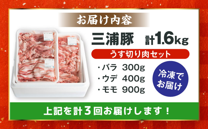【3回定期便】 特盛三浦豚 1.6kg 豚肉セット / バラ ウデ モモ 国産 ポーク 大容量 / 恵那市 / あづま精肉店 [AUDL006]