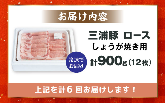 【6回定期便】 三浦豚 豚肉 ロース900ｇ（生姜焼き用）/ ブランド豚 国産 ポーク 生姜焼き 恵那市 / あづま精肉店 [AUDL013]