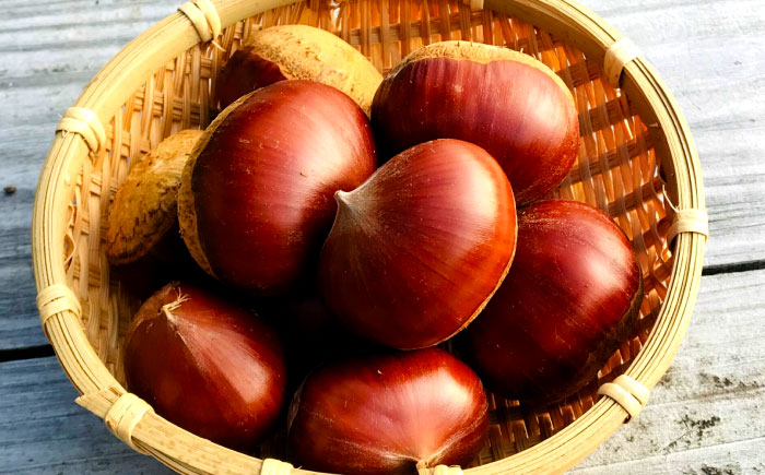 MontDeco Lab（モントデコ ラボ）モンブランケーキ 4個入り / モンブラン もんぶらん ケーキ ケーキ缶 ケーキ缶詰め モントデコ 栗ケーキ スイーツ 栗スイーツ 洋菓子 マロンケーキ お取り寄せ -もんかん- Mon Can / 恵那市 / MAC [AUDM044] 4個