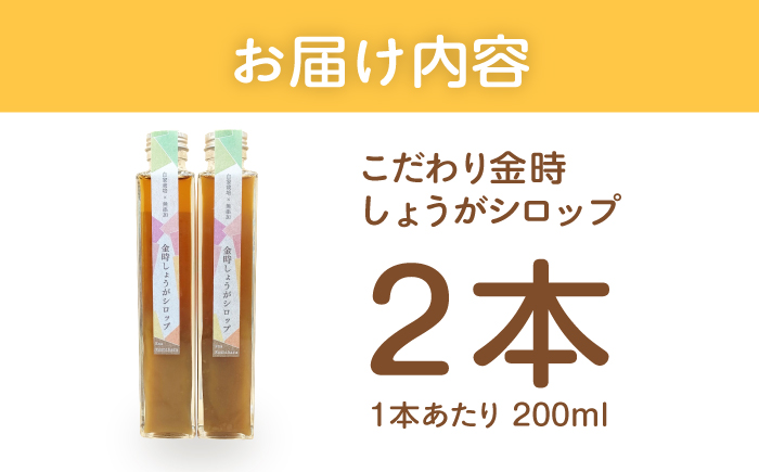 こだわり金時しょうがシロップ 200ml×2本 ギフトセット / しょうが ショウガ 生姜 ジンジャー 生姜シロップ ジンジャーシロップ / 恵那市 / てらぼら農園 [AUDZ001]