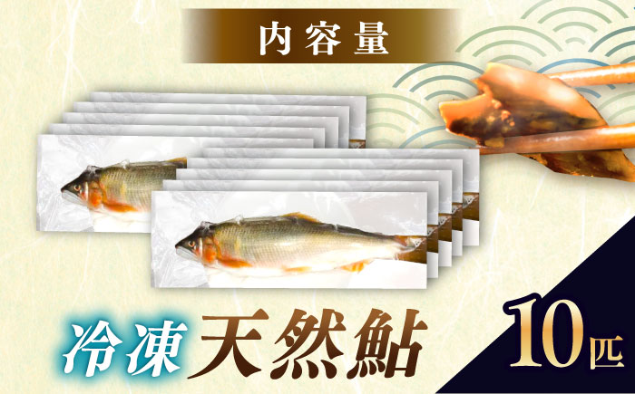 ＜冷凍＞天然あゆ 19～22cm 10匹入り / あゆ 天然 鮎 冷凍 / 恵那市 / 恵那物産館 [AUFS008]