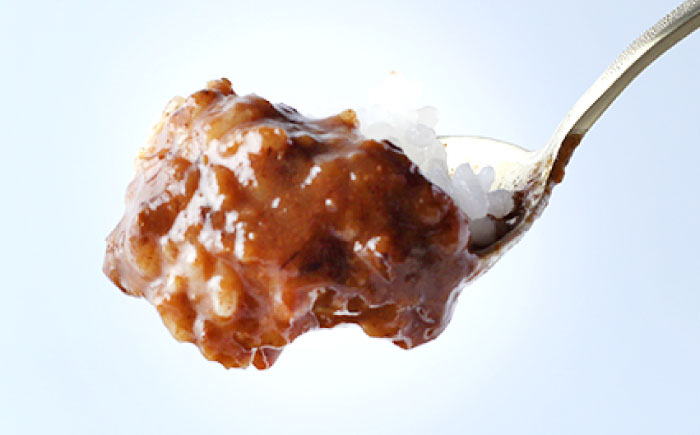 岐阜の名店・柳家 飛騨牛カレー 2食分 / カレー 飛騨牛カレー レトルト / 恵那市 / 陶ホープフル [AUFV001]