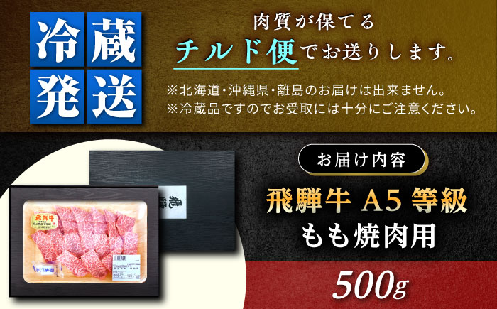 【チルド（冷蔵）発送！】 「飛騨牛」 A5等級 もも 500g / 牛肉 焼肉 鉄板焼き 網焼き BBQ / 恵那市 / 東美濃農業協同組合 [AUFX005] 500g
