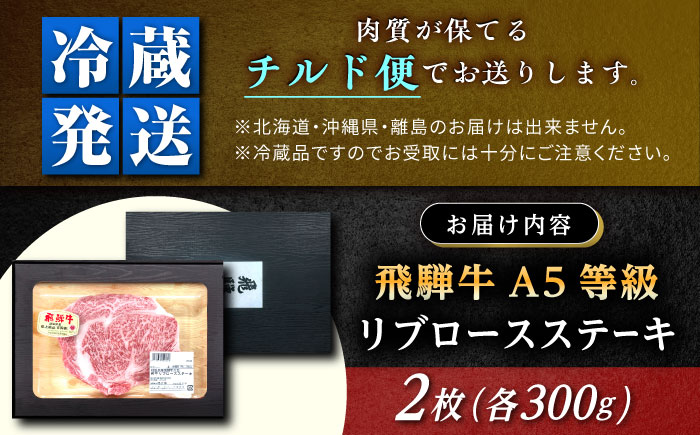 【チルド（冷蔵）発送！】 「飛騨牛」 A5等級 リブロース ステーキ用 300g×2枚 / 牛肉 焼肉 鉄板焼き 網焼き BBQ/ 恵那市 / 東美濃農業協同組合 [AUFX021] 2枚