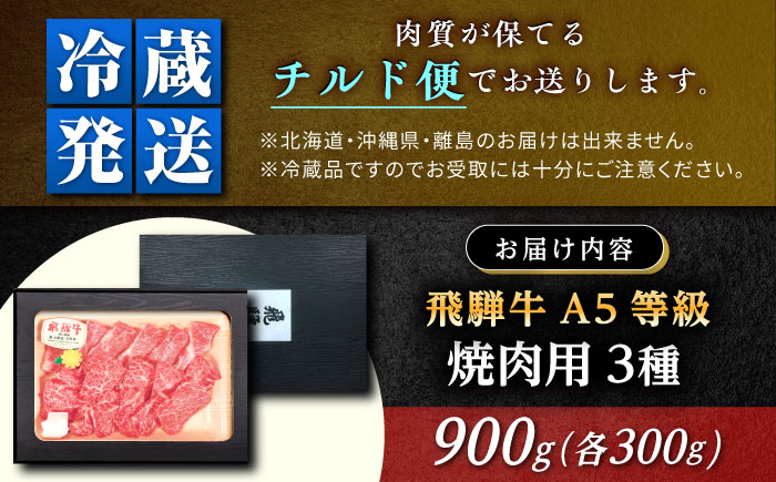 【チルド（冷蔵）発送！】 「飛騨牛」 A5等級 焼肉用3種盛り！ ロース・もも・バラ 各300g / 牛肉 焼肉 鉄板焼き 網焼き BBQ/ 恵那市 / 東美濃農業協同組合 [AUFX023]