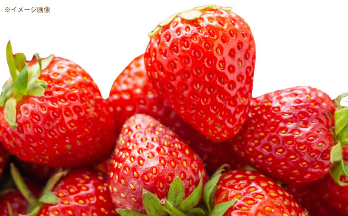 苺ジャム2種セット / いちご 苺 イチゴ あきひめ 国産 / 恵那市 / 阿部農園 [AUGA004]