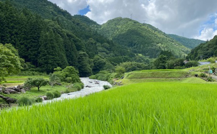 【先行予約】【2026年2月から順次発送】みかさぎ麹屋 自慢のこだわり味噌 5kg / 味噌 みそ ミソ 麹味噌 調味料 / 恵那市 / みかさぎ麹屋 [AUGD002]