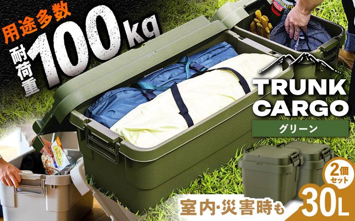 【選べるカラー】トランクカーゴ グリーン Sサイズ 2個組 キャンプ ボックス 収納 アウトドア / 恵那市 / 東谷株式会社　明智流通センター [AUAD028] グリーン