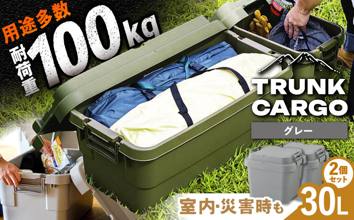 【選べるカラー】トランクカーゴ グレー Sサイズ 2個組 キャンプ ボックス 収納 アウトドア / 恵那市 / 東谷株式会社　明智流通センター [AUAD029] グレー