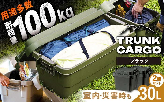 【選べるカラー】トランクカーゴ ブラック Sサイズ 2個組 キャンプ ボックス 収納 アウトドア / 恵那市 / 東谷株式会社　明智流通センター [AUAD030] ブラック