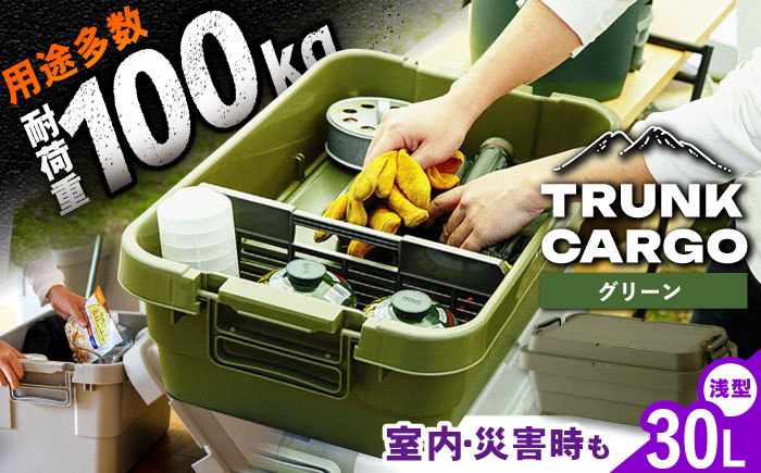 【選べるカラー】トランクカーゴ グリーン ロータイプM 1個 キャンプ ボックス 収納 アウトドア / 恵那市 / 東谷株式会社　明智流通センター [AUAD034] グリーン