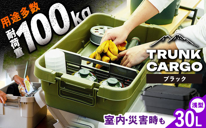 【選べるカラー】トランクカーゴ ブラック ロータイプM 1個 キャンプ ボックス 収納 アウトドア / 恵那市 / 東谷株式会社　明智流通センター [AUAD036] ブラック