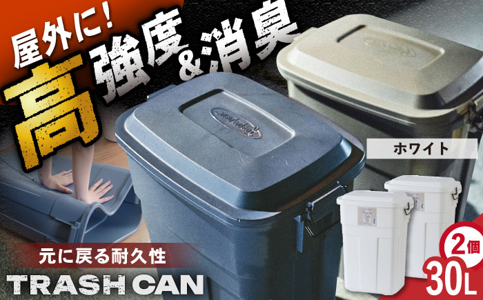 【選べるカラー】トラッシュカン ゴミ箱 ふた付き 30L ホワイト 2個組 / ダストボックス ゴミ箱 ごみ箱 / 恵那市 / 東谷株式会社 明智流通センター [AUAD069] ホワイト