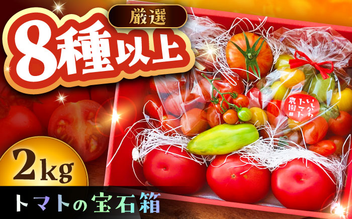 ＼受付終了間近！／トマトの宝石箱 2kg / トマト とまと 大玉トマト ミニトマト 詰め合わせ / 恵那市 / クリエイティブファーマーズ [AUAH014]