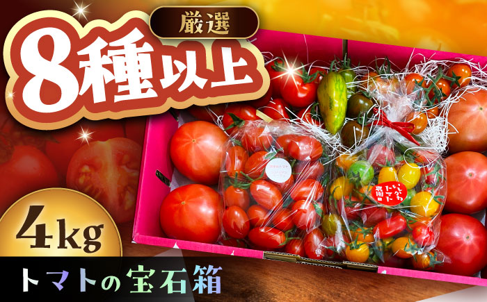 ＼受付終了間近！／トマトの宝石箱 4kg / トマト とまと 大玉トマト ミニトマト 詰め合わせ / 恵那市 / クリエイティブファーマーズ [AUAH015]