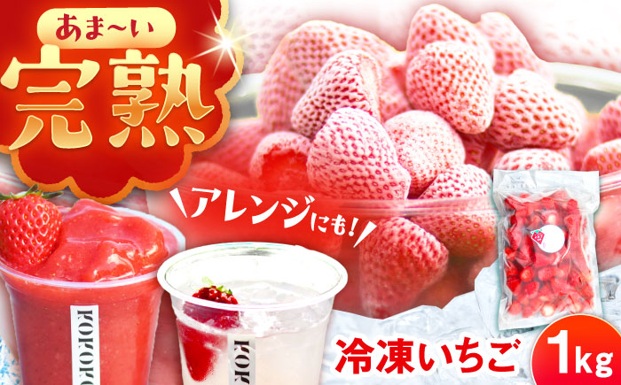 【先行予約】【2026年1月中旬より順次発送】冷凍いちご 1kg / 苺 いちご イチゴ 冷凍 冷凍イチゴ 冷凍苺 / 恵那市 クリエイティブファーマーズ [AUAH023]