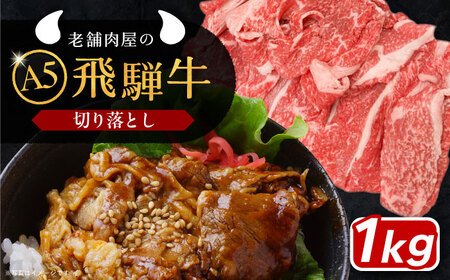 【年内配送】飛騨牛 切り落とし肉 A5ランク 500g×2パック (1kg) 和牛 国産 霜降り 恵那市 / 岩島屋 [AUAJ015]