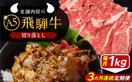 【3回定期便】 飛騨牛 切り落とし肉 A5ランク 500g×2パック (1kg) 和牛 国産 霜降り 恵那市 / 岩島屋 [AUAJ033] 3回