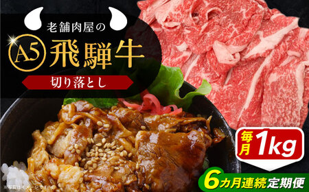 【6回定期便】 飛騨牛 切り落とし肉 A5ランク 500g×2パック (1kg) 和牛 国産 霜降り 恵那市 / 岩島屋 [AUAJ034] 6回