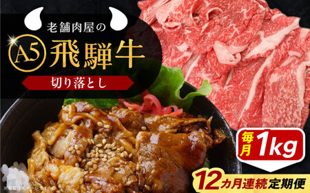 【12回定期便】 飛騨牛 切り落とし肉 A5ランク 500g×2パック (1kg) 和牛 国産 霜降り 恵那市 / 岩島屋 [AUAJ035] 12回
