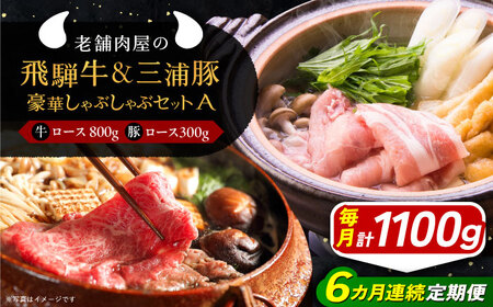 【6回定期便】 飛騨牛ロース800g 三浦豚ロース300g 豪華しゃぶしゃぶセットA 各種類1パック 和牛 国産 霜降り 恵那市 / 岩島屋 [AUAJ046] 6回