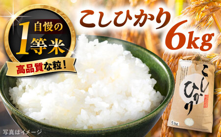 上矢作産 農家自慢のこしひかり（精米）6kg / 米 こめ コメ 白米 精米 こしひかり コシヒカリ / 恵那市 / 梅本勝司 [AUAL001]
