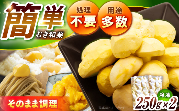 冷凍むき栗「日本栗」 計500g（250g×2P）/ 栗 くり 日本栗 むき栗 岐阜 恵那 / 恵那市 / えな笠置山栗園 [AUAV005] 500g