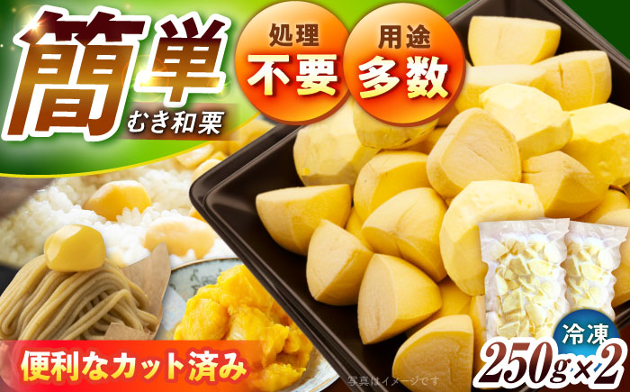 冷凍むき栗「日本栗」 カット500g（250g×2P）/ 栗 冷凍 生栗 くり むき栗 マロン 低温熟成 日本栗 国産 和栗 岐阜県産 恵那市産 産地直送 送料無料 お取り寄せ ギフト 贈答 / 恵那市 / えな笠置山栗園 [AUAV006]