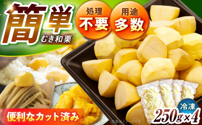冷凍むき栗「日本栗」 カット1kg（250g×4P）/ 栗 冷凍 生栗 くり むき栗 マロン 低温熟成 日本栗 国産 和栗 岐阜県産 恵那市産 産地直送 送料無料 お取り寄せ ギフト 贈答 / 恵那市 / えな笠置山栗園 [AUAV007]