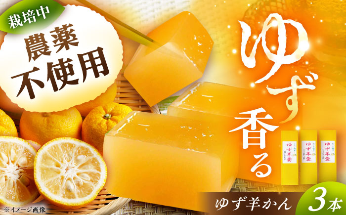 ゆず羊かん 3本 / ようかん 羊羹 和菓子 柚子 ゆず / 恵那市 / かさぎゆず組合 [AUAW014]
