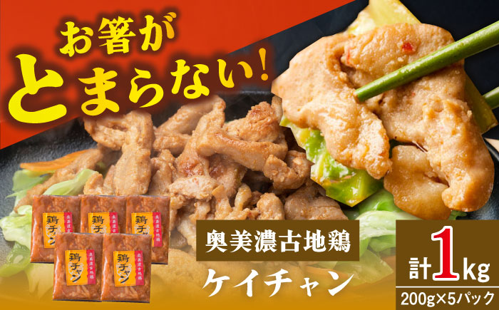 【年内配送】地鶏を使った岐阜県郷土料理「ケイチャン」セット 10人前（200g×5P） / 鶏 鶏肉 地鶏 郷土料理 小分け / 恵那市 / 中部食産 [AUBW003]