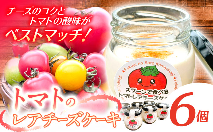 オリジナルトマトのレアチーズケーキ / チーズケーキ レアチーズケーキ ケーキ スイーツ トマト とまと / 恵那市 / 道の駅上矢作ラ・フォーレ福寿の里 [AUCL006]