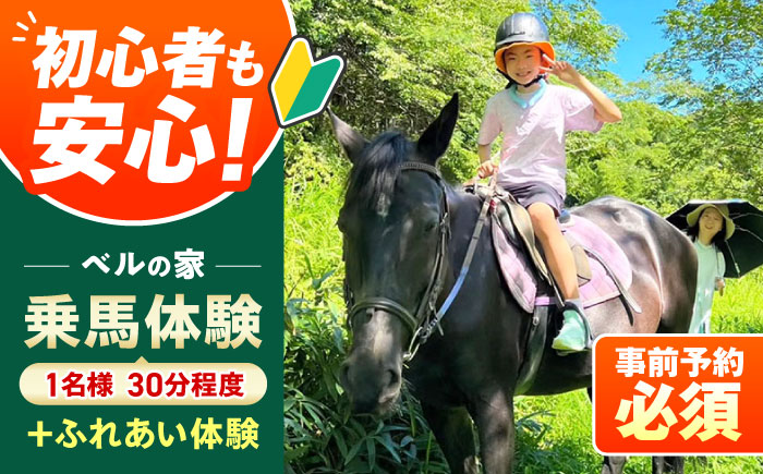 乗馬体験券（ふれあい、30分程度の乗馬）1名分 チケット 馬 岐阜 恵那市 / ベルの家 [AUCN001]