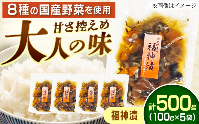 国産野菜の大人な福神漬(無添加・国産) 計500g 100g×5袋 / 福神漬け 漬物 国産 / 恵那市 / マルコ醸造 [AUCT013]
